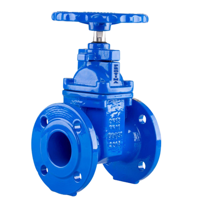 Sluice Valve