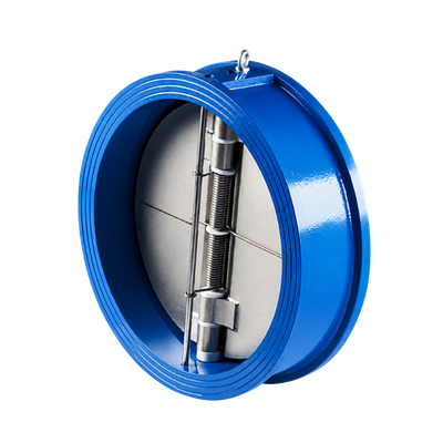Dual Plate Check Valve